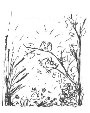 es ist die Nachtigall und nicht die Lerche