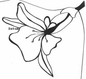 Seitenecken von Julie gemalt
