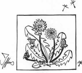 lass dich tragen vom wind