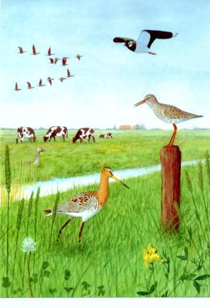 Die Titelgraphik von Reno Lottmann